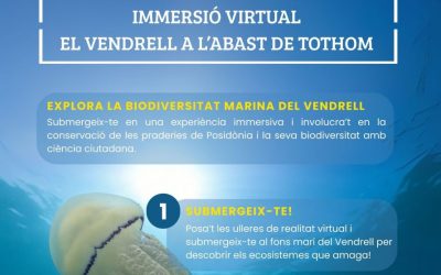 Immersió Virtual: La Vida Marina del Vendrell a l’Abast de Tothom