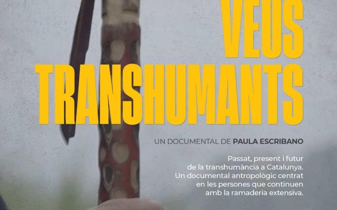 Ruralitats en transició