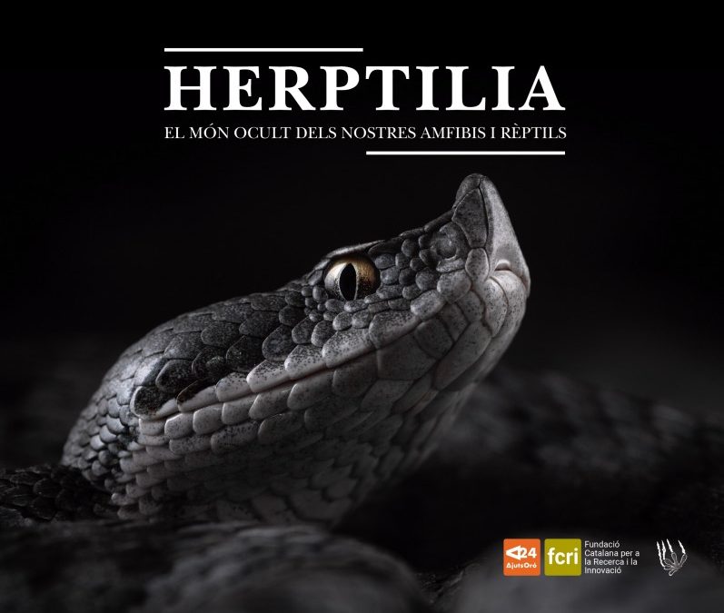 Herptilia